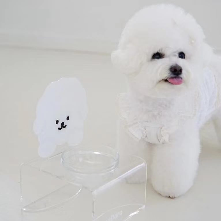 Ashin ακρυλική βάση σίτισης κατοικίδιων για σκύλους και γάτες — διαφανής αποσπώμενη βάση για μπολ, σετ 75 τεμαχίων