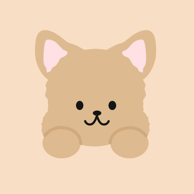 Ashin ακρυλική βάση σίτισης κατοικίδιων για σκύλους και γάτες — διαφανής αποσπώμενη βάση για μπολ, σετ 75 τεμαχίων