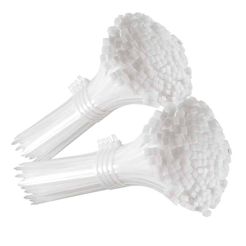 Αυτό-κλειδόμενες νάιλον ζώνες καλωδίων PA66, μάρκα Leyi zai, για αποθήκευση