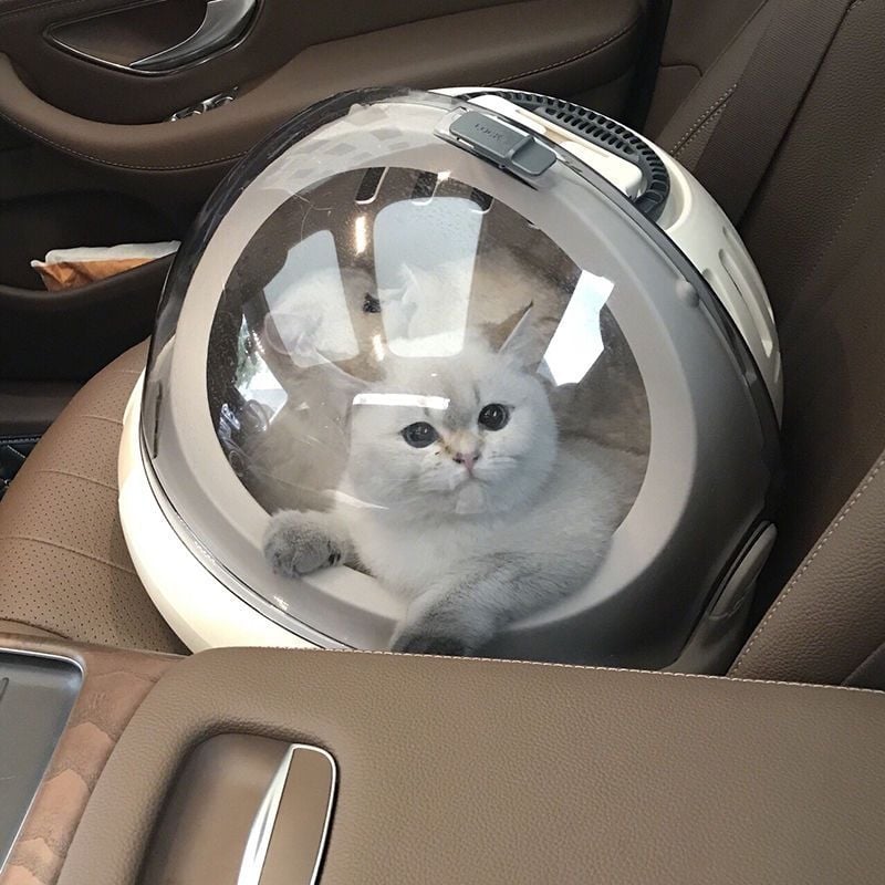 Котешка транспортна чанта в стил космическа капсула за разходки — преносима, дишаща, многофункционална, за всички сезони (Материал: пластмаса; Марка: Unique; Категория: котешка чанта/кутия)