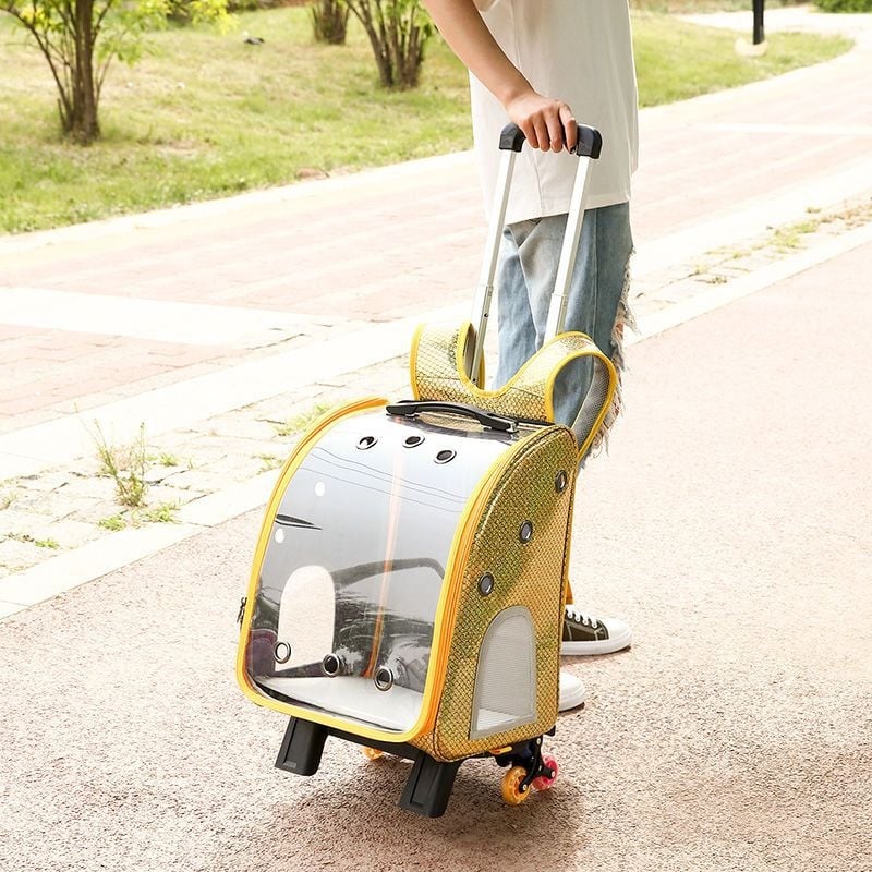 Котешка транспортна чанта в стил космическа капсула за разходки — преносима, дишаща, многофункционална, за всички сезони (Материал: пластмаса; Марка: Unique; Категория: котешка чанта/кутия)