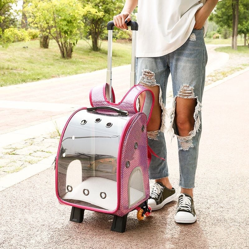 Котешка транспортна чанта в стил космическа капсула за разходки — преносима, дишаща, многофункционална, за всички сезони (Материал: пластмаса; Марка: Unique; Категория: котешка чанта/кутия)