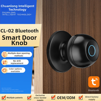 Zăvor inteligent cu bilă, design fără găuri, finisaj graffiti, zăvor Bluetooth cu amprentă pentru ușa de birou, încuietoare cu trei tijă – Chuanlong CL-02