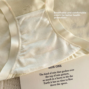 Ženske antibakterijske gaćice od najlona sa srednjim strukom i čipkom (Jacquard tkivo, podstava od Mulberry svile, antibakterijska funkcija)