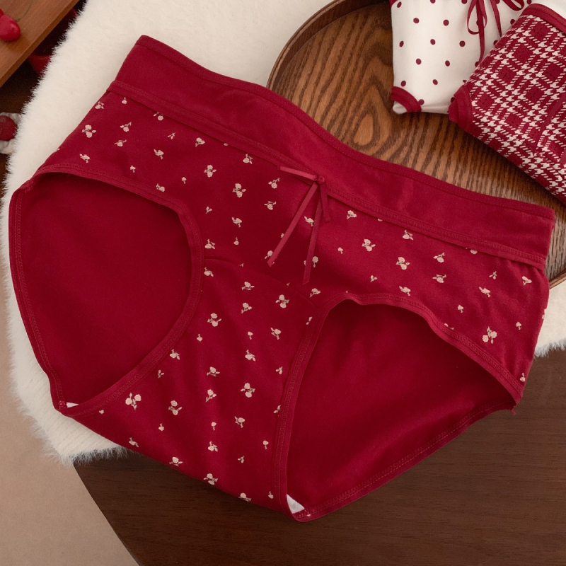 Djevojčice pamukaste pletene gaćice, prozračne i antibakterijske; glavni materijal: pamuk; podstava: pamuk; uzorak: jednostavan s slovima