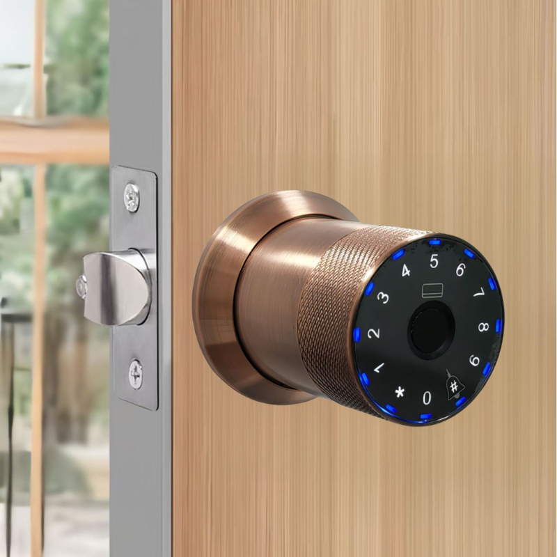 Model D03 Pametni brava s otiskom prsta za drvena vrata; kapacitet pohrane otisaka 50; više od 100000 otključavanja; vrijeme skeniranja <1 s; napajanje baterije