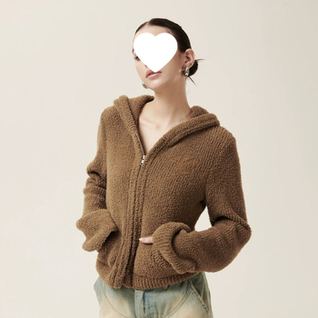 Pulover s kapuljom od Chenille-Spandex, rukavima princeze, proljeće 2025