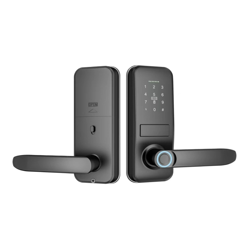 P13 Elektronička brava za vrata | 100 memorija otisaka prstiju; do 100000 otključavanja; skeniranje 0,1 s; pristup otiskom prsta, lozinkom ili ključem; pogodna za drvena, metalna ili plastična vrata