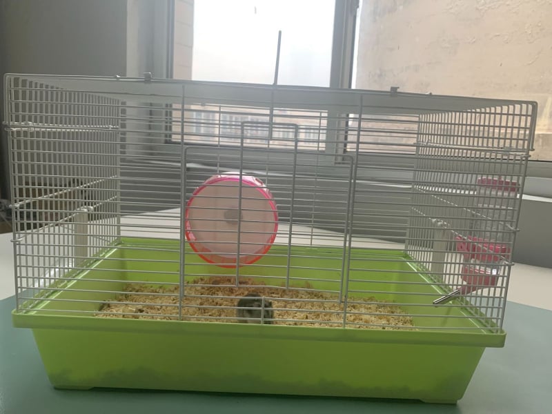 Κλουβί για χάμστερ, ορθογώνιο, από σίδηρο, για εσωτερική χρήση, εύκολο στον καθαρισμό και αερίζεται