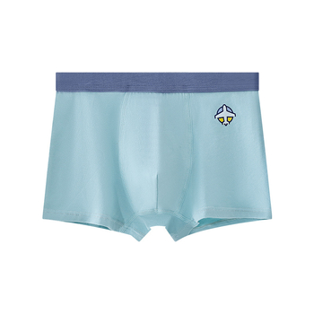 Gaćice za dječake – pamuk, 90–95% pamuka, za uzrast 8+ godina