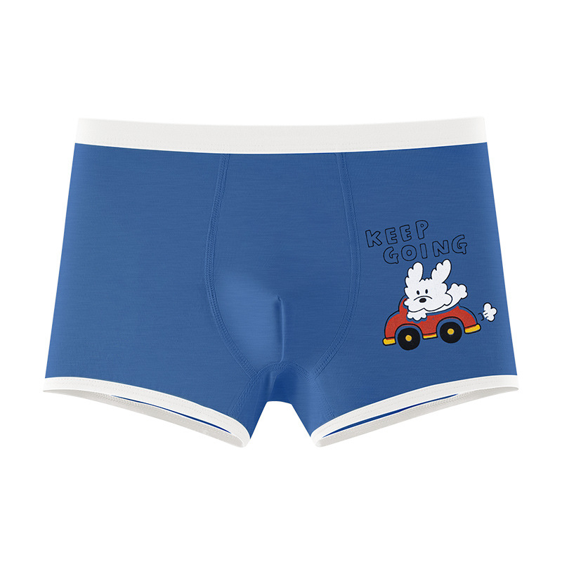 Dječje pamučne gaćice za dječake, 95% pamuk / 5% elastan, 100% pamuk u području prepona, Kategorija A, za djecu 3–8 godina, Ljeto 2025