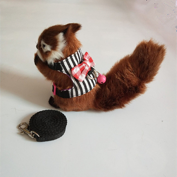 Kisállat mell-hám pórázzal – Denim, Totoro-kompatibilis