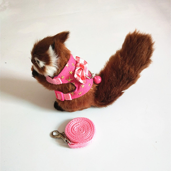 Kisállat mell-hám pórázzal – Denim, Totoro-kompatibilis