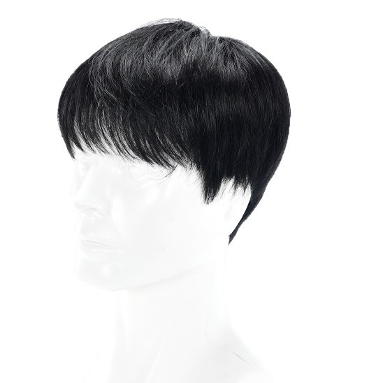 Star smile Muška kratka wig s potpuno ručno tkanim gornjim dijelom, 100% ljudske dlake, model 1820