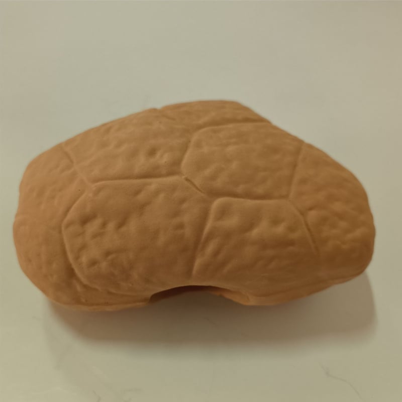 Διακοσμητικό ενυδρείου από συνθετική ρητίνη: κρυψώνα με σπήλαιο ωοτοκίας για γαρίδες και μικρά ψάρια, βελτιώνει το οικολογικό περιβάλλον