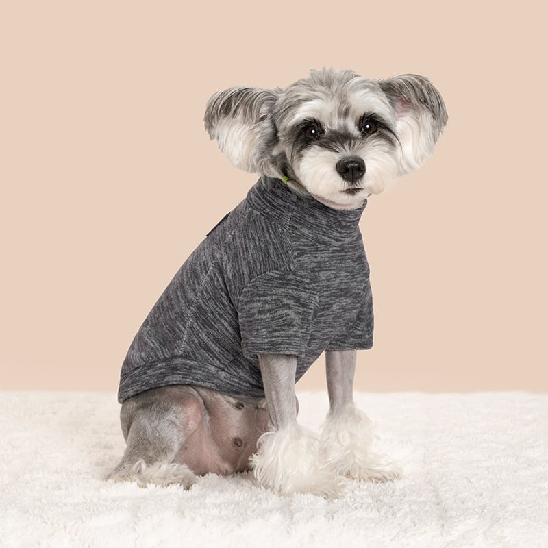 Jachetă de fleece pentru animale de companie (câini și pisici), toamnă-iarnă, patchwork călduros din catifea, stil hip-hop, îmbrăcăminte unisex pentru animale