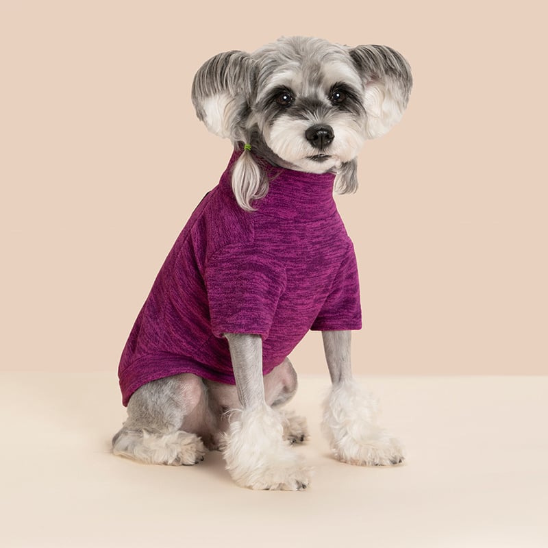 Jachetă de fleece pentru animale de companie (câini și pisici), toamnă-iarnă, patchwork călduros din catifea, stil hip-hop, îmbrăcăminte unisex pentru animale