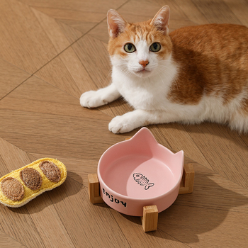 Κεραμικό μπολ φαγητού και νερού για γάτες με σχέδιο κατά της ανατροπής, μπολ γάτας ιδιωτικής μάρκας