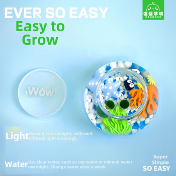 Miniatűr tengeri algagolyó – városi sziget mikro táj ökológiai üvegben irodai hidroponikus növényekhez chlorella tápoldattal