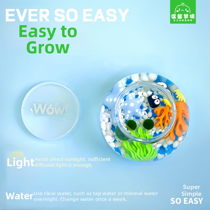 Miniatűr tengeri algagolyó – városi sziget mikro táj ökológiai üvegben irodai hidroponikus növényekhez chlorella tápoldattal