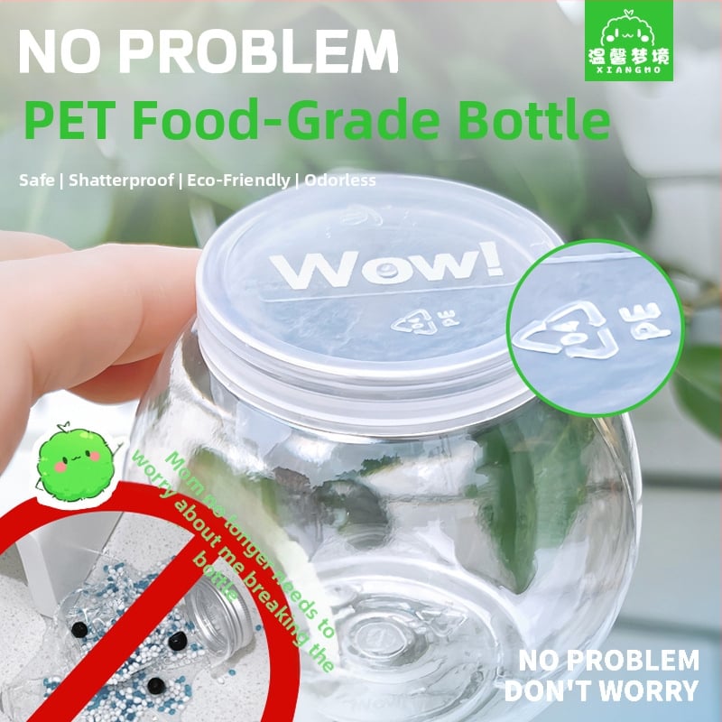 Miniatűr tengeri algagolyó – városi sziget mikro táj ökológiai üvegben irodai hidroponikus növényekhez chlorella tápoldattal