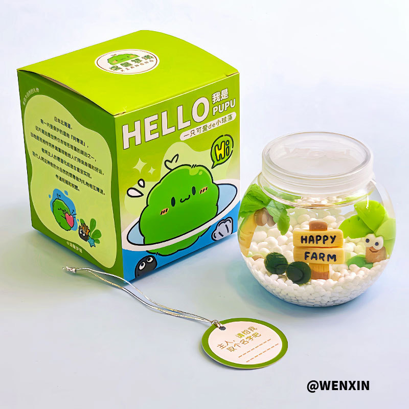 Miniatűr tengeri algagolyó – városi sziget mikro táj ökológiai üvegben irodai hidroponikus növényekhez chlorella tápoldattal