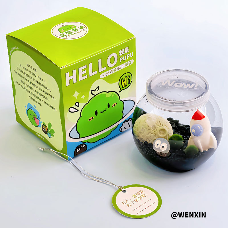 Miniatűr tengeri algagolyó – városi sziget mikro táj ökológiai üvegben irodai hidroponikus növényekhez chlorella tápoldattal