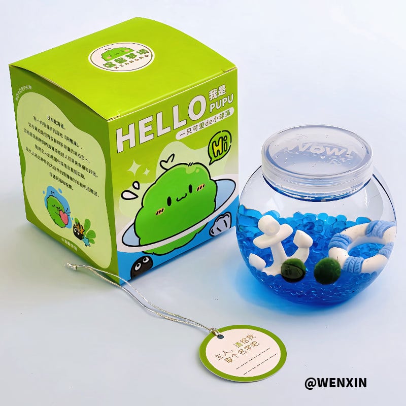 Miniatűr tengeri algagolyó – városi sziget mikro táj ökológiai üvegben irodai hidroponikus növényekhez chlorella tápoldattal