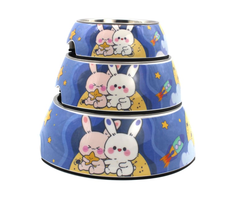 Ruixinmei μπολ γάτας από μελαμίνη, εκτύπωση διατροφικής ποιότητας για κατοικίδια