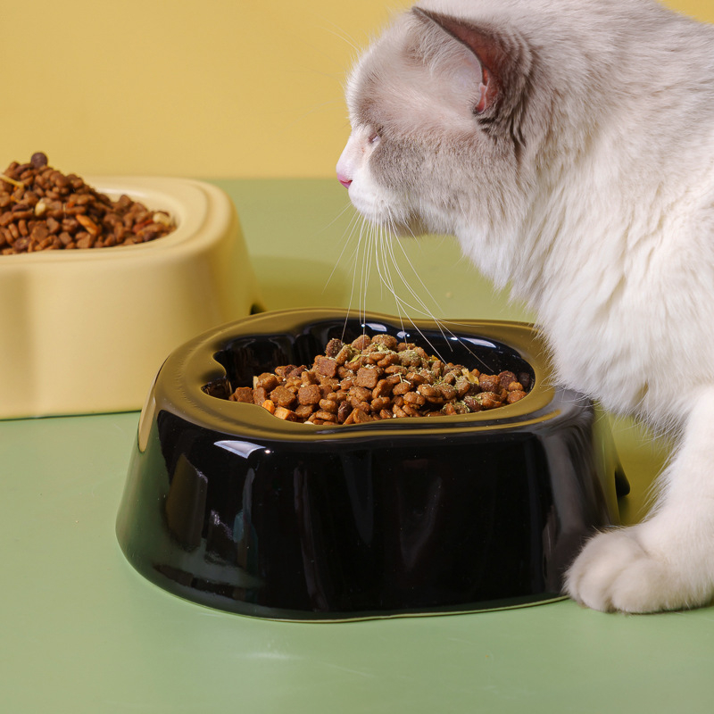 Κεραμικό μπολ φαγητού γάτας - Anmeixi, αντιολισθητικό, αργή τροφοδοσία, για γάτες, λανσαρίστηκε το 2024