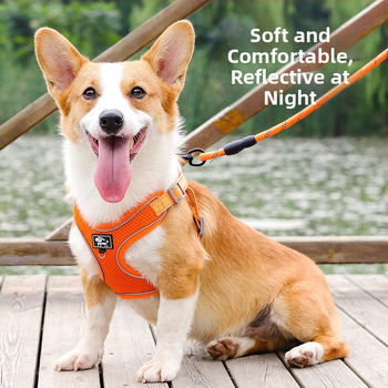 Kutyamellkas-hám, állítható, kötél-stílus, poliészter (Anyag: Poliészter; Kategória: mellkas-hám; Bővíthető: Igen)