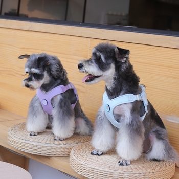 Kutyák mellkasöve – X-típusú frissített mellény, poliészter; Márka BORORO/Bao Lele; Bővíthető; Csomagolás 200