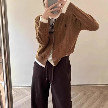 Cardigan s izvezenim poniem, twist pletenina, debela vuna, lažni dvodijelni dizajn, slobodan kroj