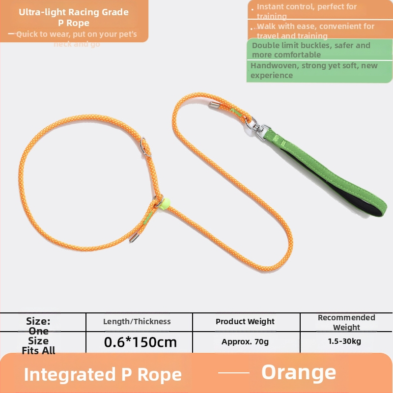 Lesă pentru câini P-Chain pentru antrenament, lesă de antrenament pentru cățeluși, calitate competițională (Brand: Unique; Model: P-Chain; Categoria: lanțuri și frânghii pentru animale de companie)