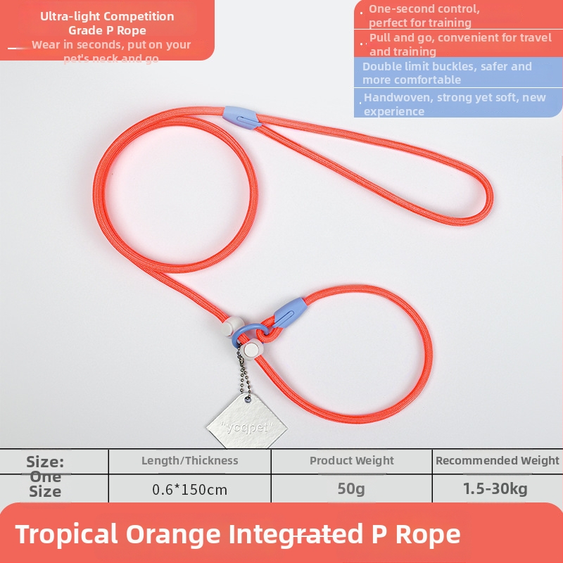 Lesă pentru câini P-Chain pentru antrenament, lesă de antrenament pentru cățeluși, calitate competițională (Brand: Unique; Model: P-Chain; Categoria: lanțuri și frânghii pentru animale de companie)