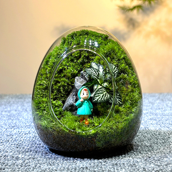 Sticlă cu micro-peisaj de mușchi în coajă de ou — terrarium interior cu mușchi real (Material: sticlă; Stil: Alt; Import: Nu; IP: Nu)