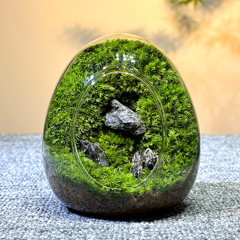 Sticlă cu micro-peisaj de mușchi în coajă de ou — terrarium interior cu mușchi real (Material: sticlă; Stil: Alt; Import: Nu; IP: Nu)
