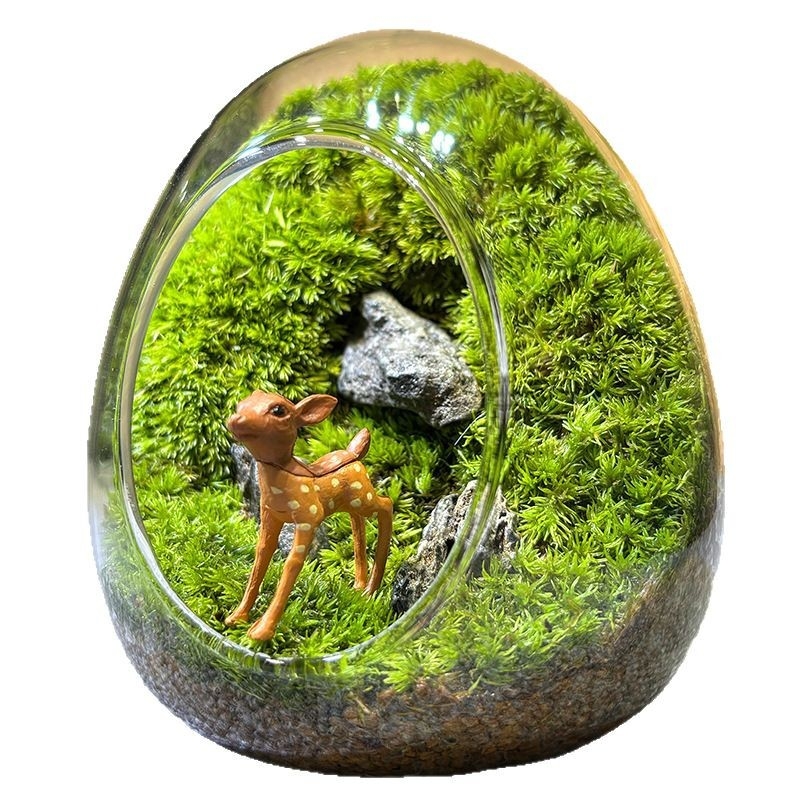 Sticlă cu micro-peisaj de mușchi în coajă de ou — terrarium interior cu mușchi real (Material: sticlă; Stil: Alt; Import: Nu; IP: Nu)