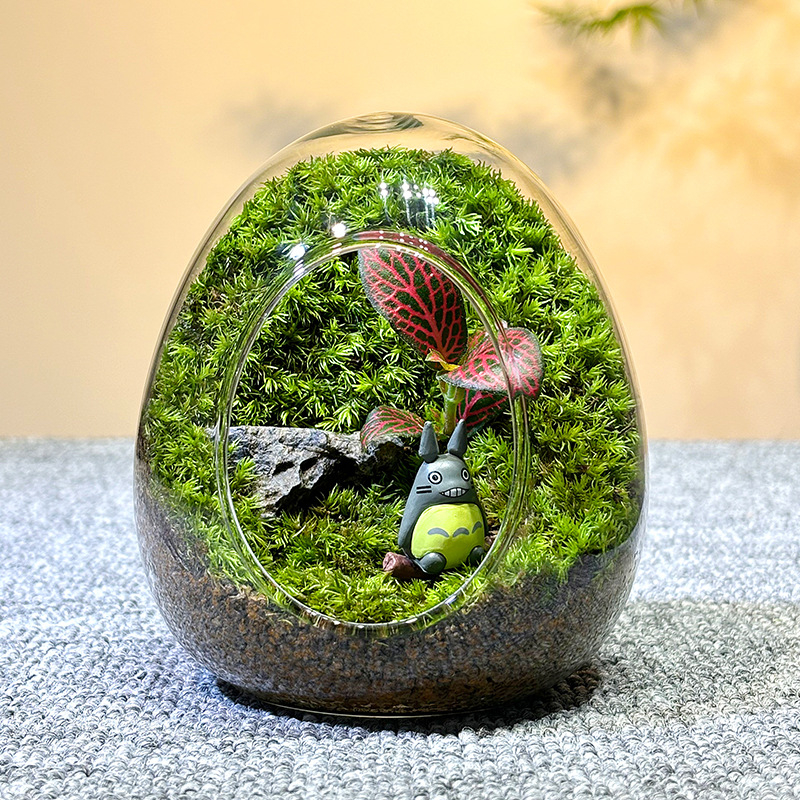 Sticlă cu micro-peisaj de mușchi în coajă de ou — terrarium interior cu mușchi real (Material: sticlă; Stil: Alt; Import: Nu; IP: Nu)