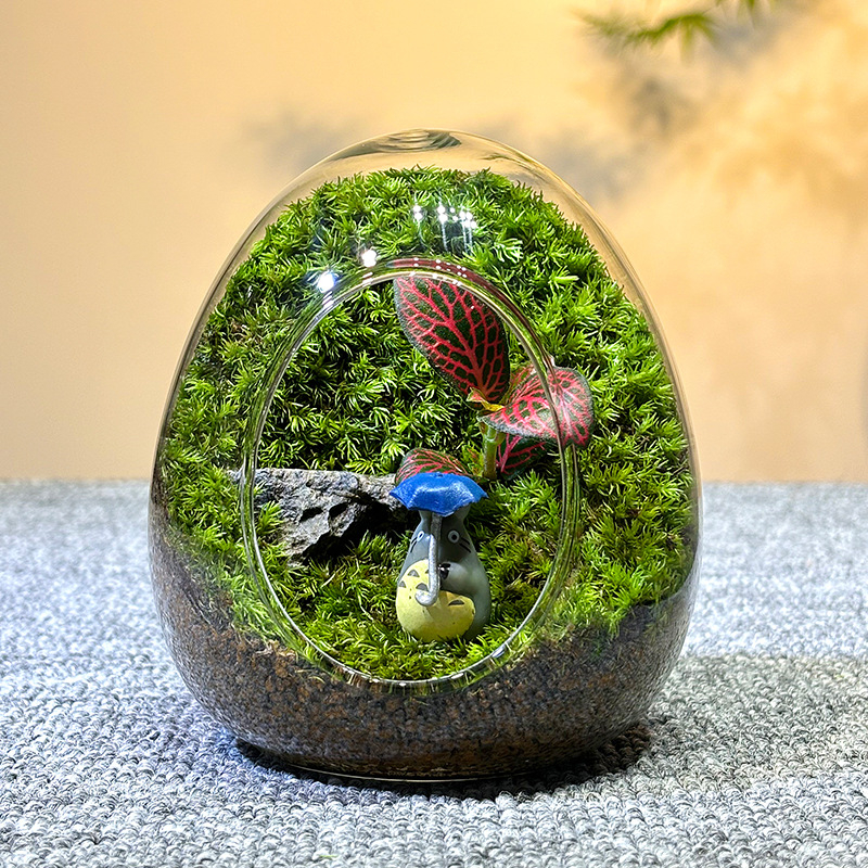 Sticlă cu micro-peisaj de mușchi în coajă de ou — terrarium interior cu mușchi real (Material: sticlă; Stil: Alt; Import: Nu; IP: Nu)
