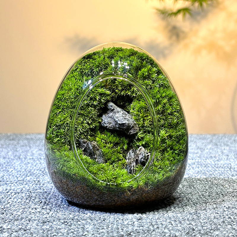 Sticlă cu micro-peisaj de mușchi în coajă de ou — terrarium interior cu mușchi real (Material: sticlă; Stil: Alt; Import: Nu; IP: Nu)