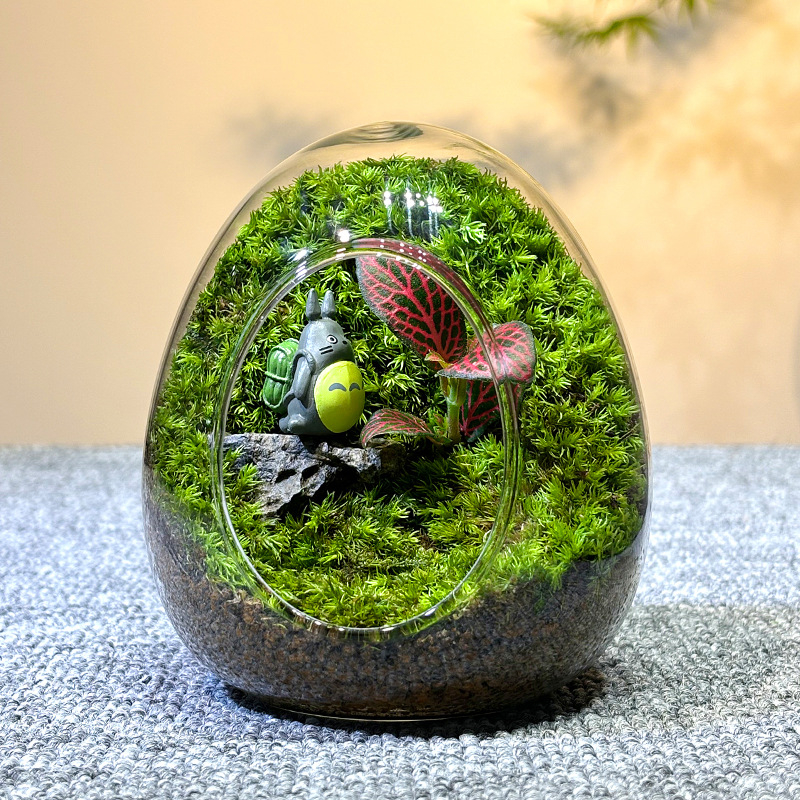 Sticlă cu micro-peisaj de mușchi în coajă de ou — terrarium interior cu mușchi real (Material: sticlă; Stil: Alt; Import: Nu; IP: Nu)