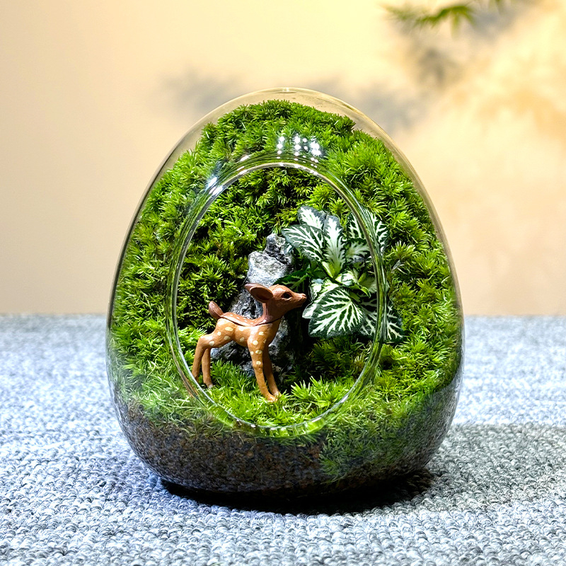Sticlă cu micro-peisaj de mușchi în coajă de ou — terrarium interior cu mușchi real (Material: sticlă; Stil: Alt; Import: Nu; IP: Nu)