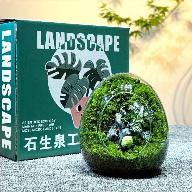 Sticlă cu micro-peisaj de mușchi în coajă de ou — terrarium interior cu mușchi real (Material: sticlă; Stil: Alt; Import: Nu; IP: Nu)