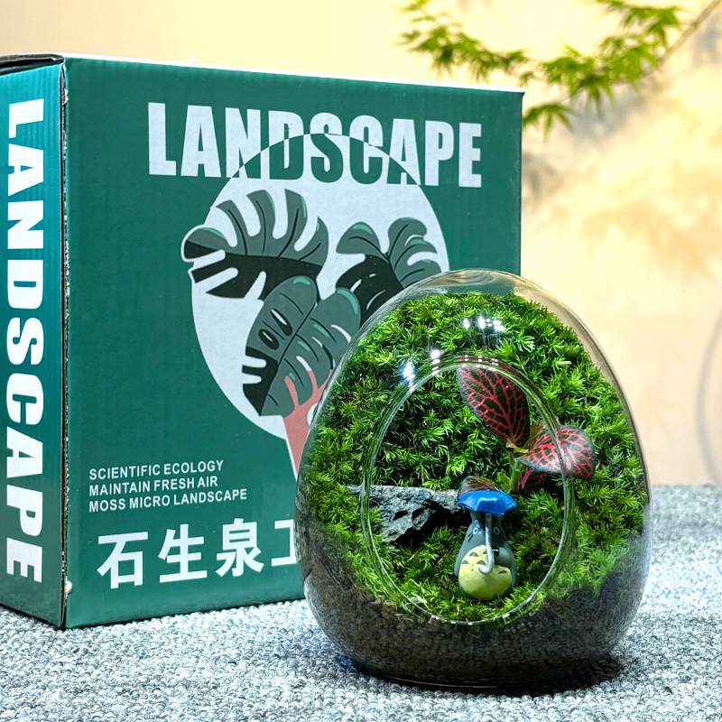 Sticlă cu micro-peisaj de mușchi în coajă de ou — terrarium interior cu mușchi real (Material: sticlă; Stil: Alt; Import: Nu; IP: Nu)