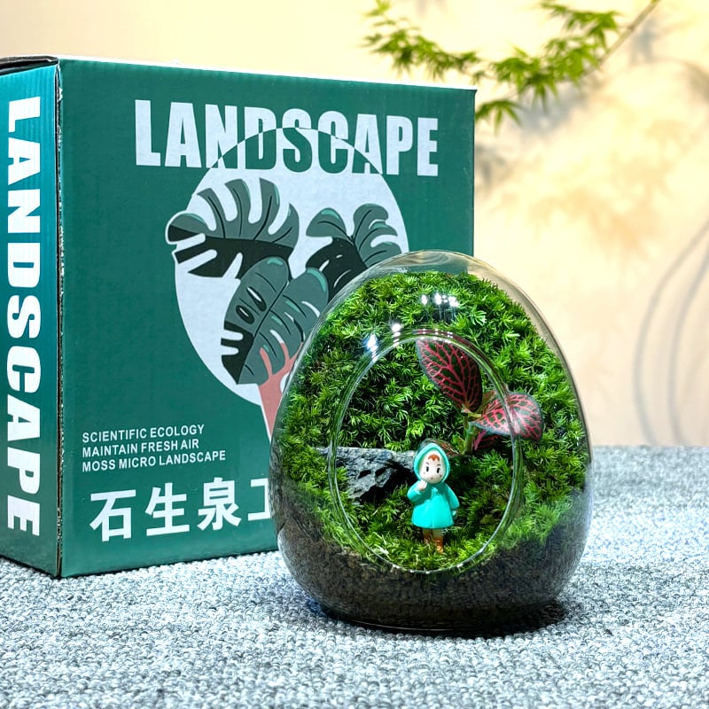Sticlă cu micro-peisaj de mușchi în coajă de ou — terrarium interior cu mușchi real (Material: sticlă; Stil: Alt; Import: Nu; IP: Nu)