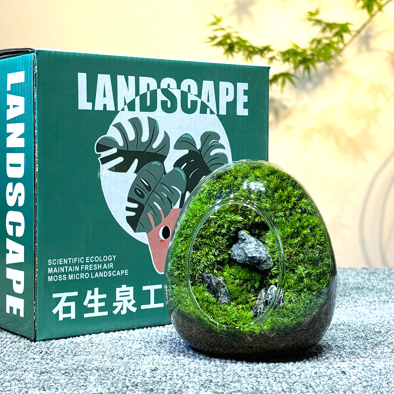 Sticlă cu micro-peisaj de mușchi în coajă de ou — terrarium interior cu mușchi real (Material: sticlă; Stil: Alt; Import: Nu; IP: Nu)