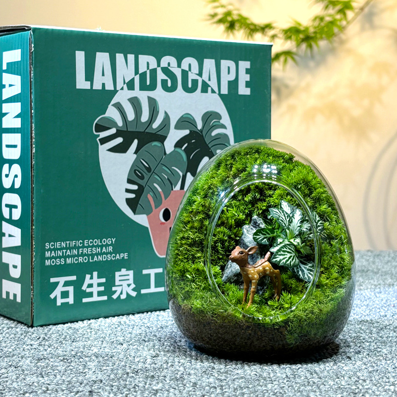 Sticlă cu micro-peisaj de mușchi în coajă de ou — terrarium interior cu mușchi real (Material: sticlă; Stil: Alt; Import: Nu; IP: Nu)