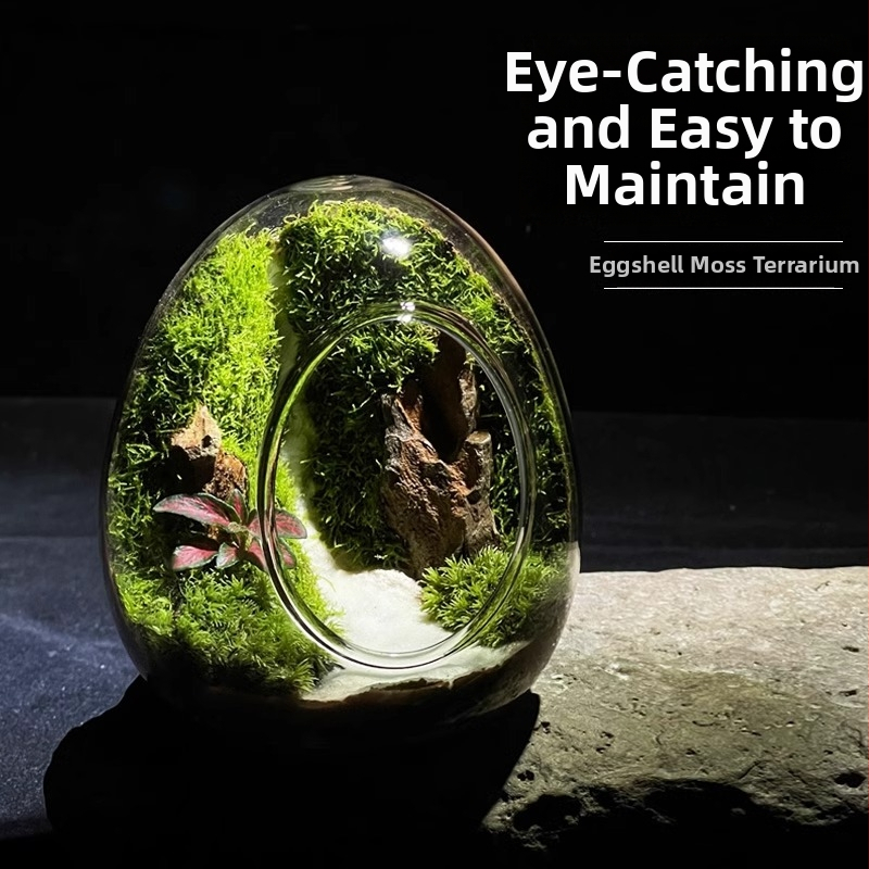 Sticlă cu micro-peisaj de mușchi în coajă de ou — terrarium interior cu mușchi real (Material: sticlă; Stil: Alt; Import: Nu; IP: Nu)