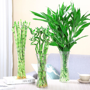 Γυάλινο βάζο Half Moon Bay με μπαμπού σε υδάτινη καλλιέργεια και κρίνο – διακόσμηση σαλονιού σε σκανδιναβικό στυλ με αποξηραμένα λουλούδια